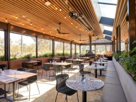 Riddell's Green at RACV Healesville Country Club and Resort edit