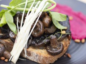Trio of Mushroom Medley served with beetroot hommus, pinenutes and toast
