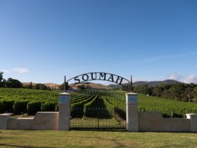 An arched gate with the title "Soumah", with the vineyard in the background.
