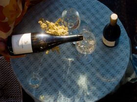 A bottle of Staindl Riesling is poured in the afternoon sunlight, viewed from above