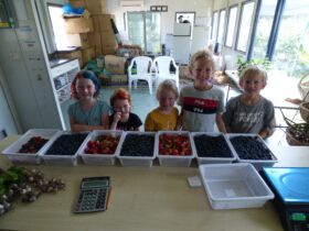 Children that picked berries