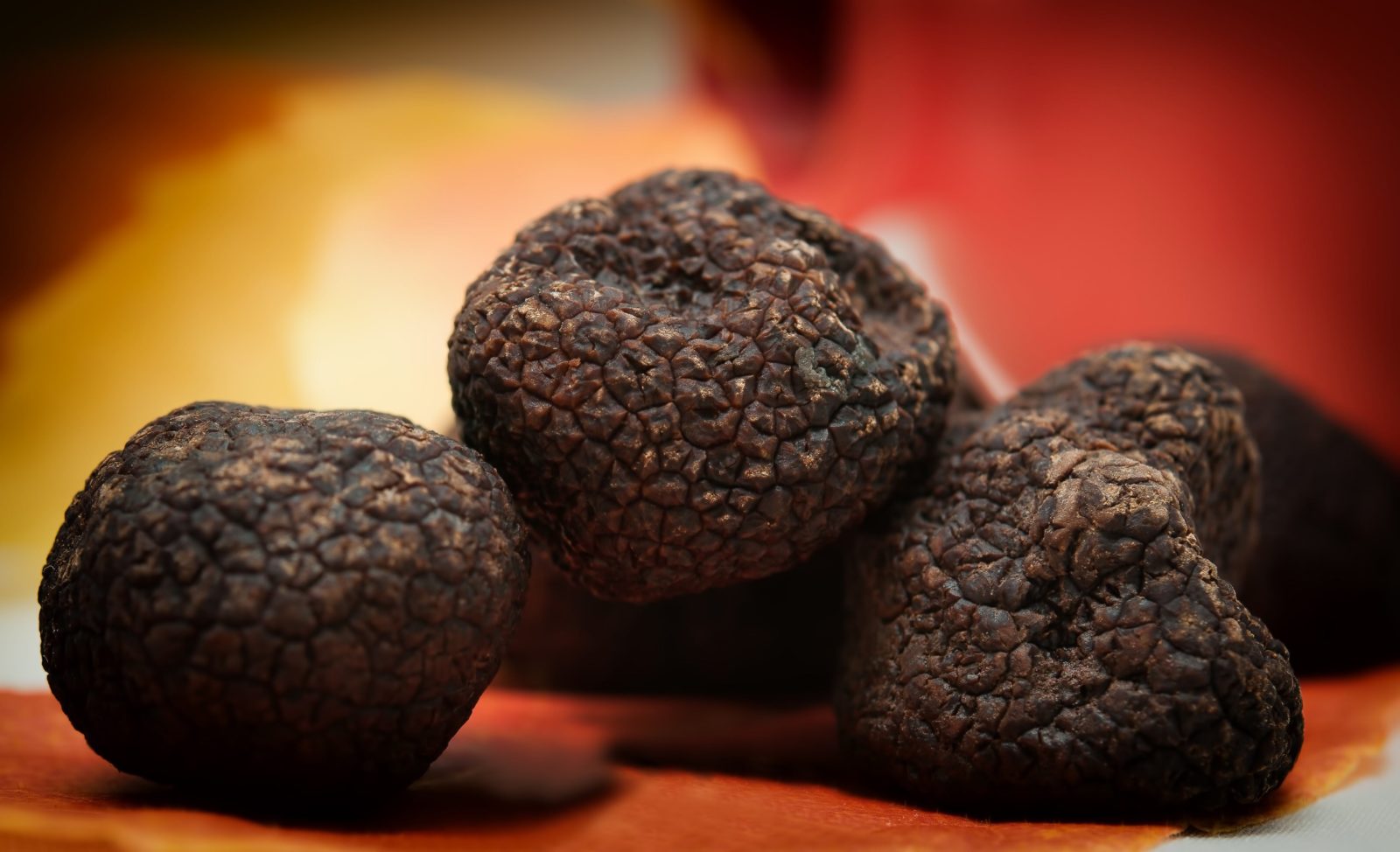 A group of black truffle on a red background