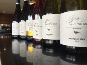 Yes Said the Seal Refined Maritime Climate Wines. The Bellarine