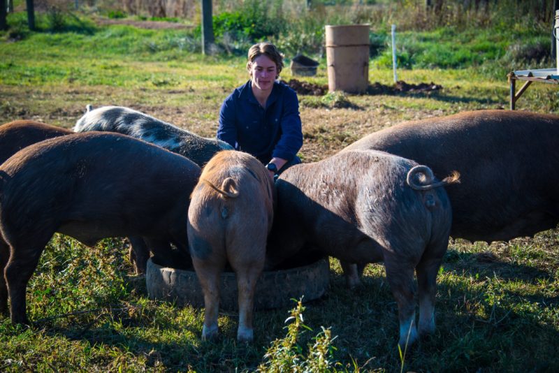 Jacob, manages the feeding, breeding and weekly moving of this group of pigs.