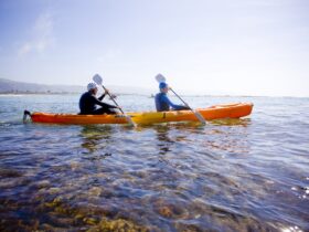 We offer sea kayaking as one of our wilderness adventures