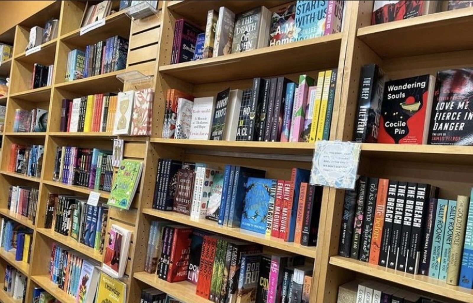 books displayed on a bookshelf in a bookstore