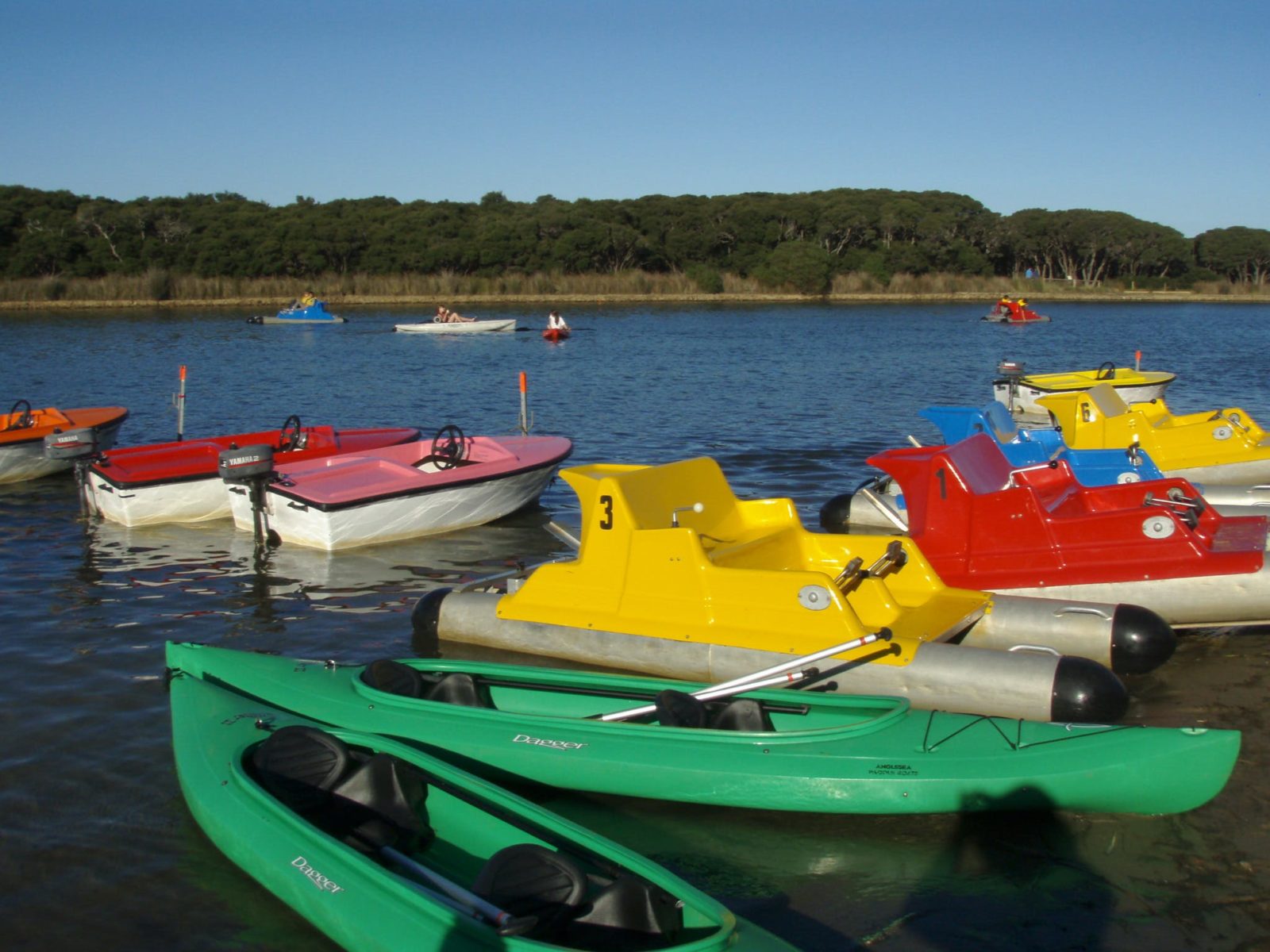 Anglesea Paddleboats & Canoe Hire