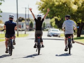 Three people riding bikes down a street