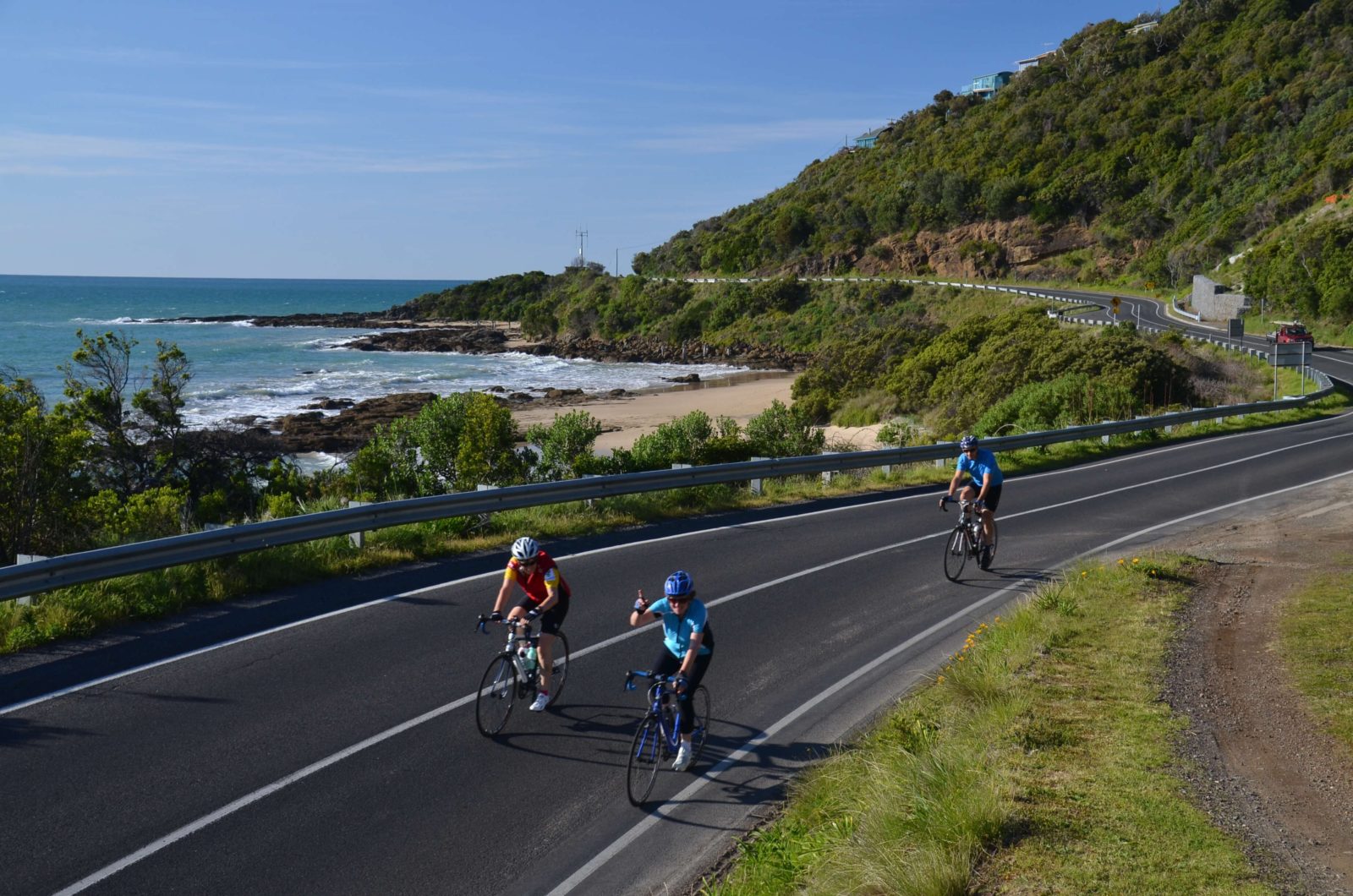 AllTrails Bicycle Tours Great Ocean Road Cycle Tour