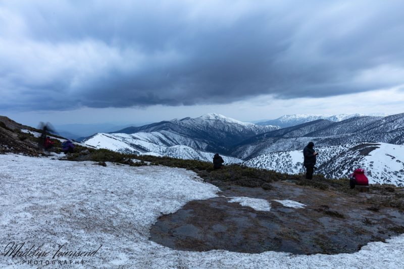 A group of photographers take photos in the snow of mountains