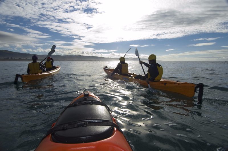 Seal-Kayaking-Apollo-Bay-Surf-Kayak