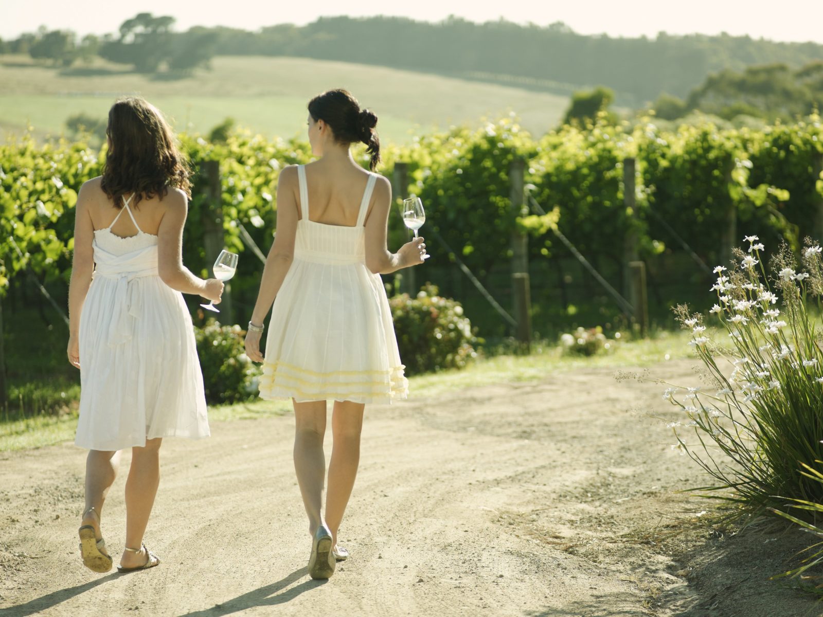 Winery tours Melbourne