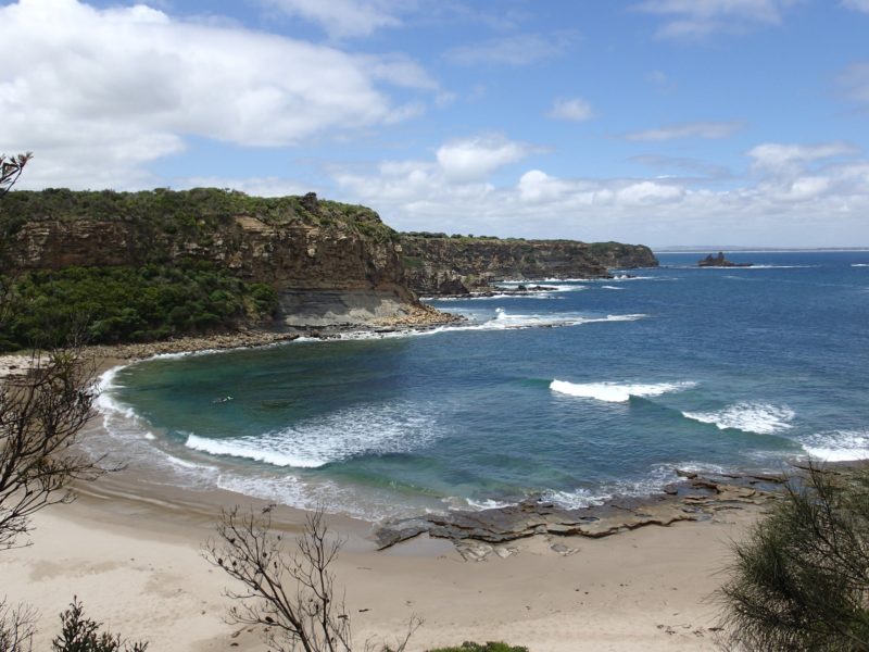 Shack Bay to Eagles Nest, site of first dinosaur fossil discovered in Australia, Cape Paterson Claw