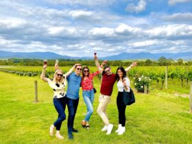 Group of friends cheering in front of vineyard