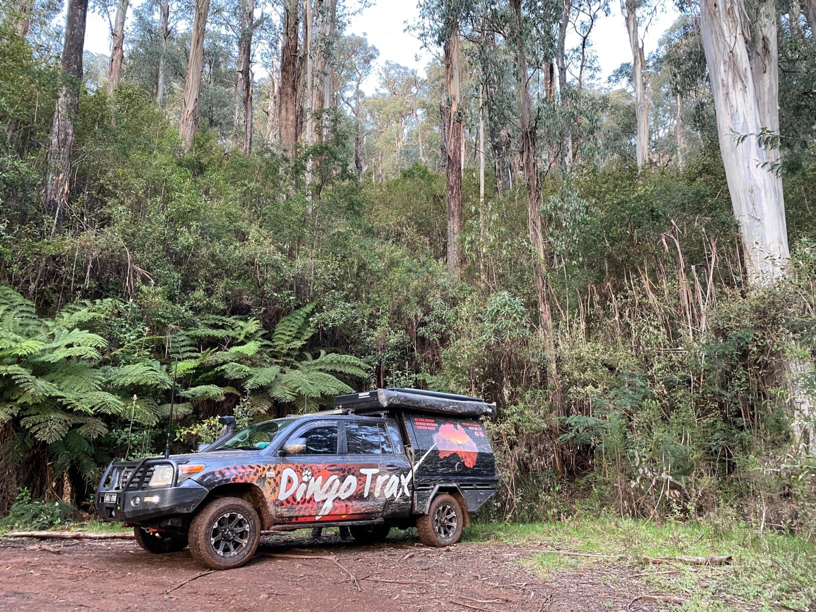 Dingo Trax in Wonnongatta, Victorian High Country