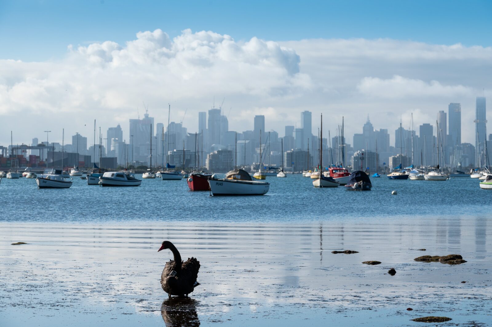 Melbourne city views, Commonwealth Reserve, Williamstown, Gem Pier, Nelson Place, Maritime