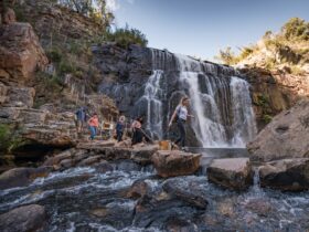 mackenzie-falls-waterfall-group