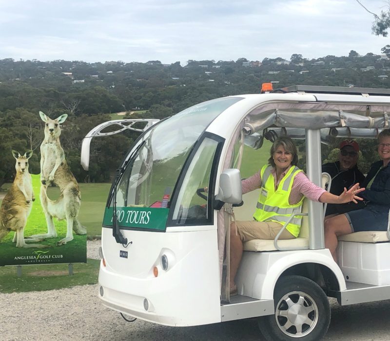 Kangaroo Tour Bus
