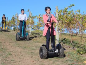 Time Out Adventures Segway Tours