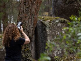 a woman with curly hair stands with back to camera holding a camera taking photos in the forest