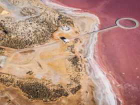 Aerial image of pink Lake Tyrrell showing viewing platform and sand coloured lake edge.