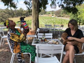 Lunch with your dog at a winery with Pooches & Pinot private VIP dog-friendly winery tours