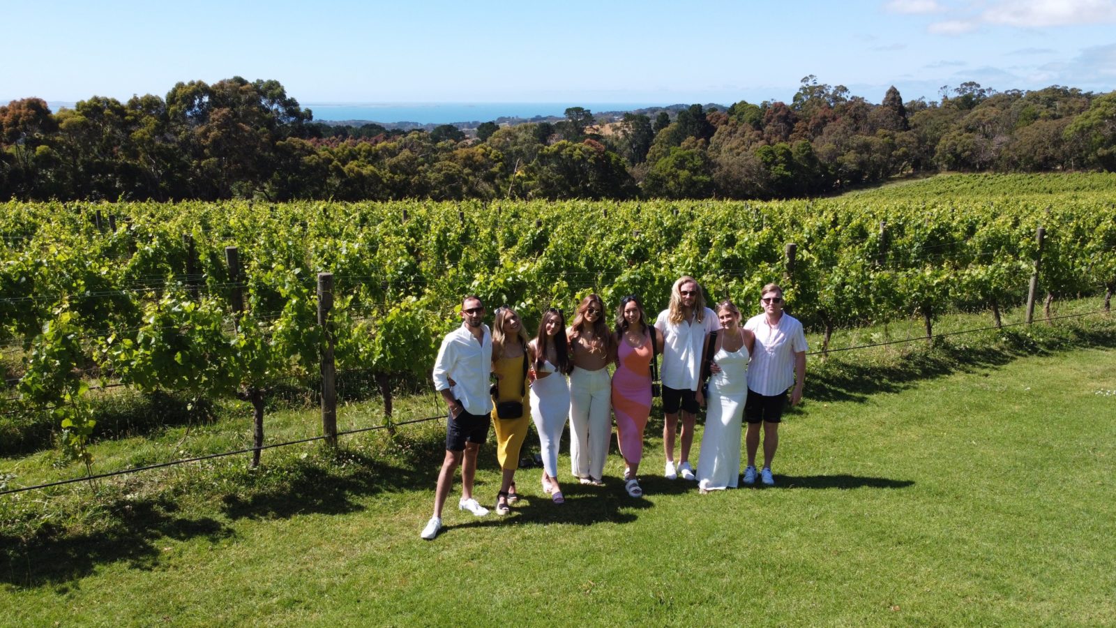 people standing in front of wine vines