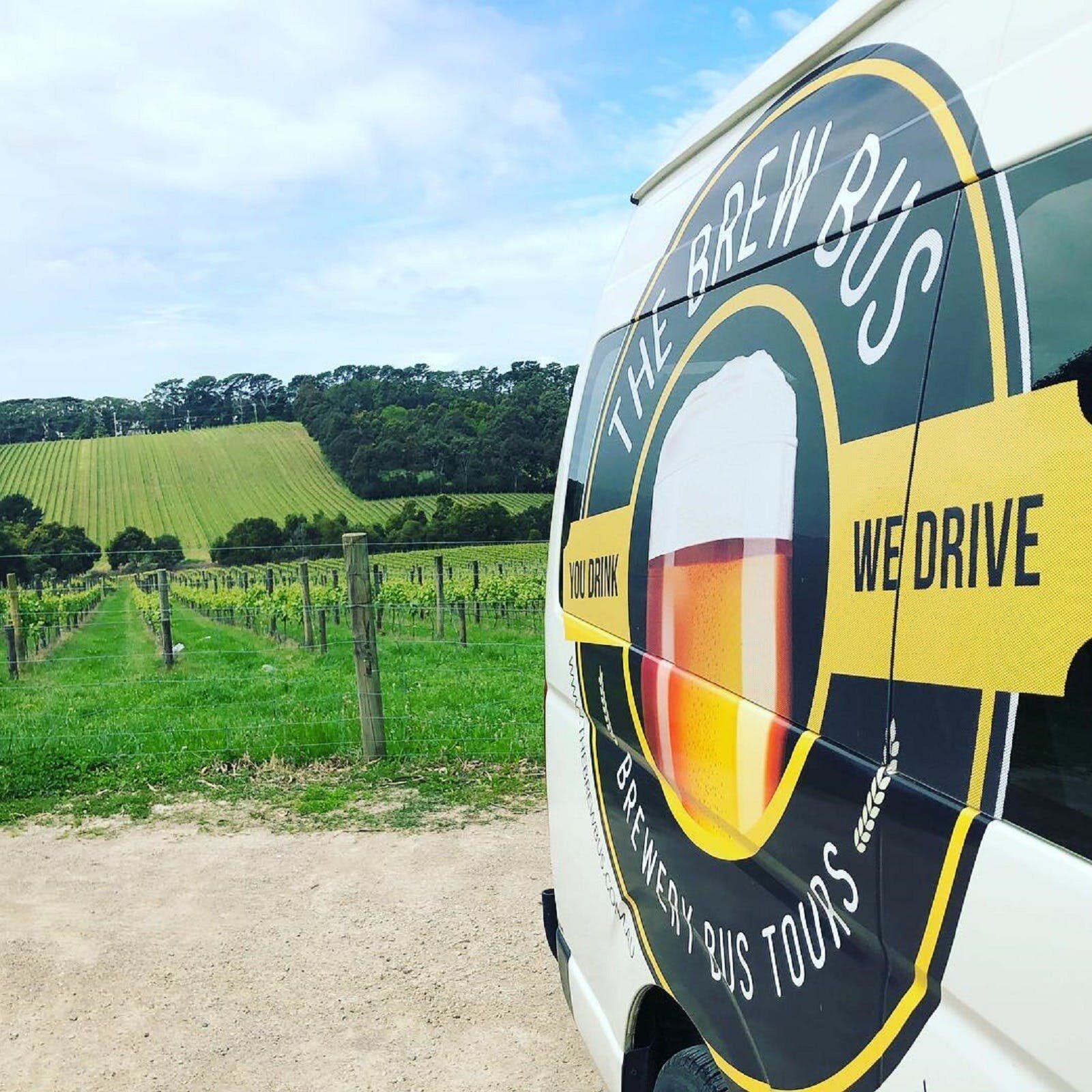 The Brewery Bus tour van in front of rolling vineyards