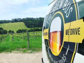 The Brewery Bus tour van in front of rolling vineyards