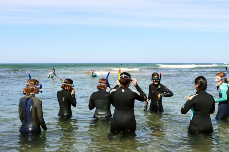 The Salty Tribe snorkelling adventure