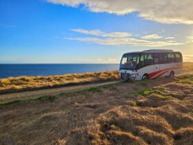 Bus at Phillip island