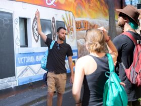 Tour Guide Liam explaining the motifs behind one of Fitzroy's Street Art murals