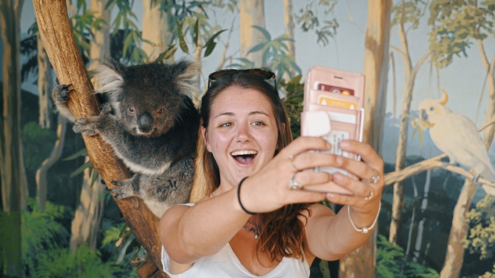 Welcome to Travel: Melbourne - Koala Selfie