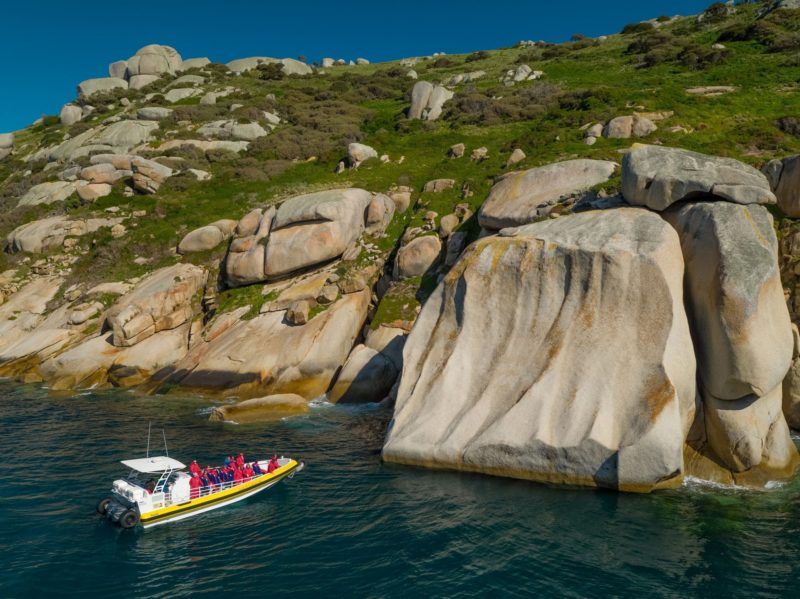 Wilsons Promontory Cruises exploring granite coastline