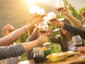 Group of people cheers wine