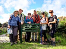 Group on the great ocean walk with Walk91