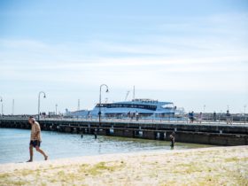 Port Phillip Ferries