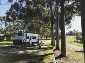 Big Valley Campsite, Rosa Glen, Western Australia