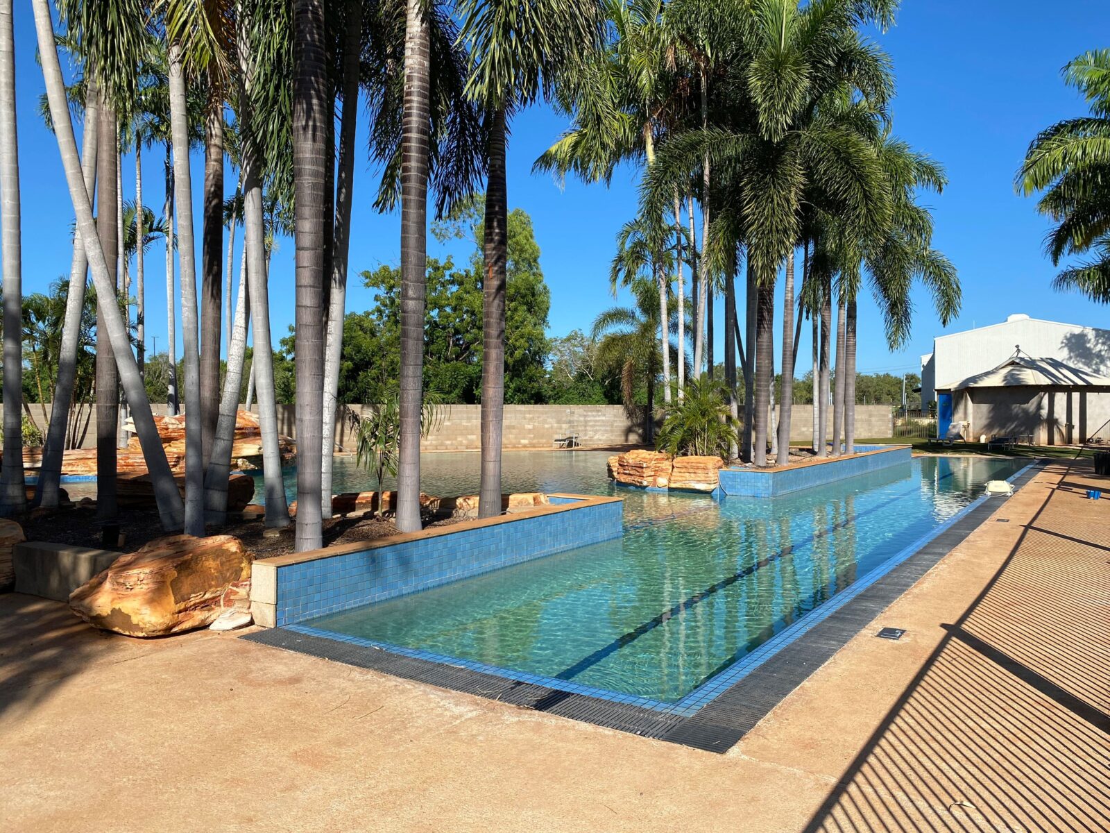 A landscape photo of a resort-style swimming lap pool surrounded by palm trees