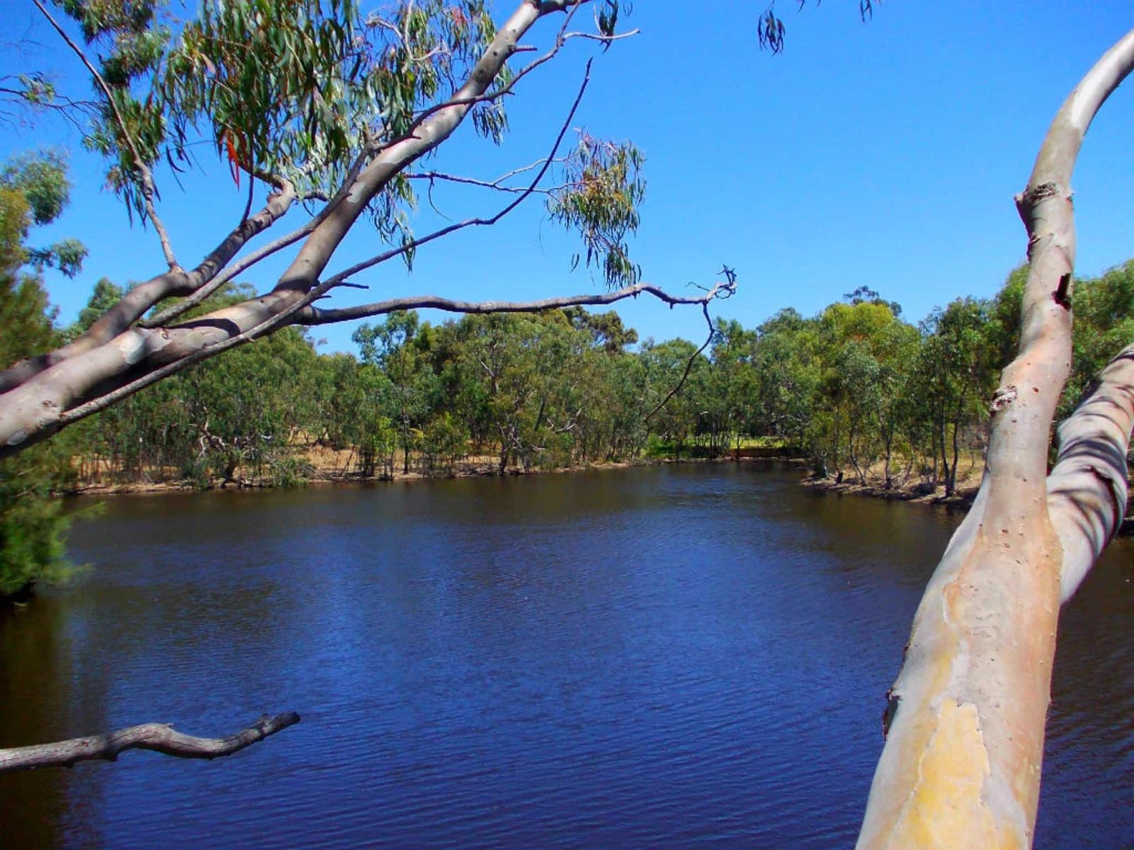 Bushy Lake Chalets, Margaret River, Western Australia
