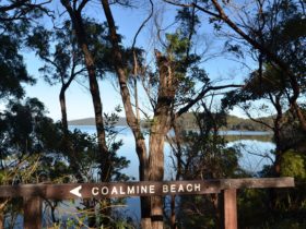 Coalmine Beach Holiday Park. Walpole, Western Australia