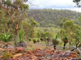 Avon Valley National Park, Mundaring, Western Australia