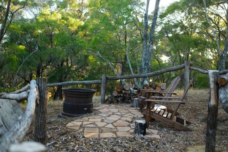 Campfire seating around the firepit surrounded by nature