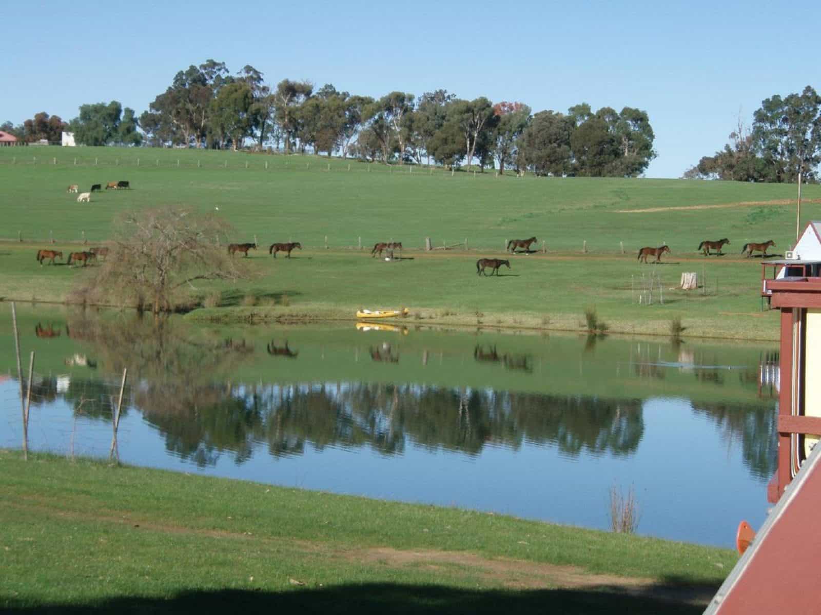 Lucieville Farm Chalets, Bridgetown, Western Australia
