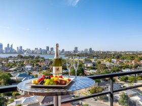 Wine & fruit platter, with views of Perth city and Swan River