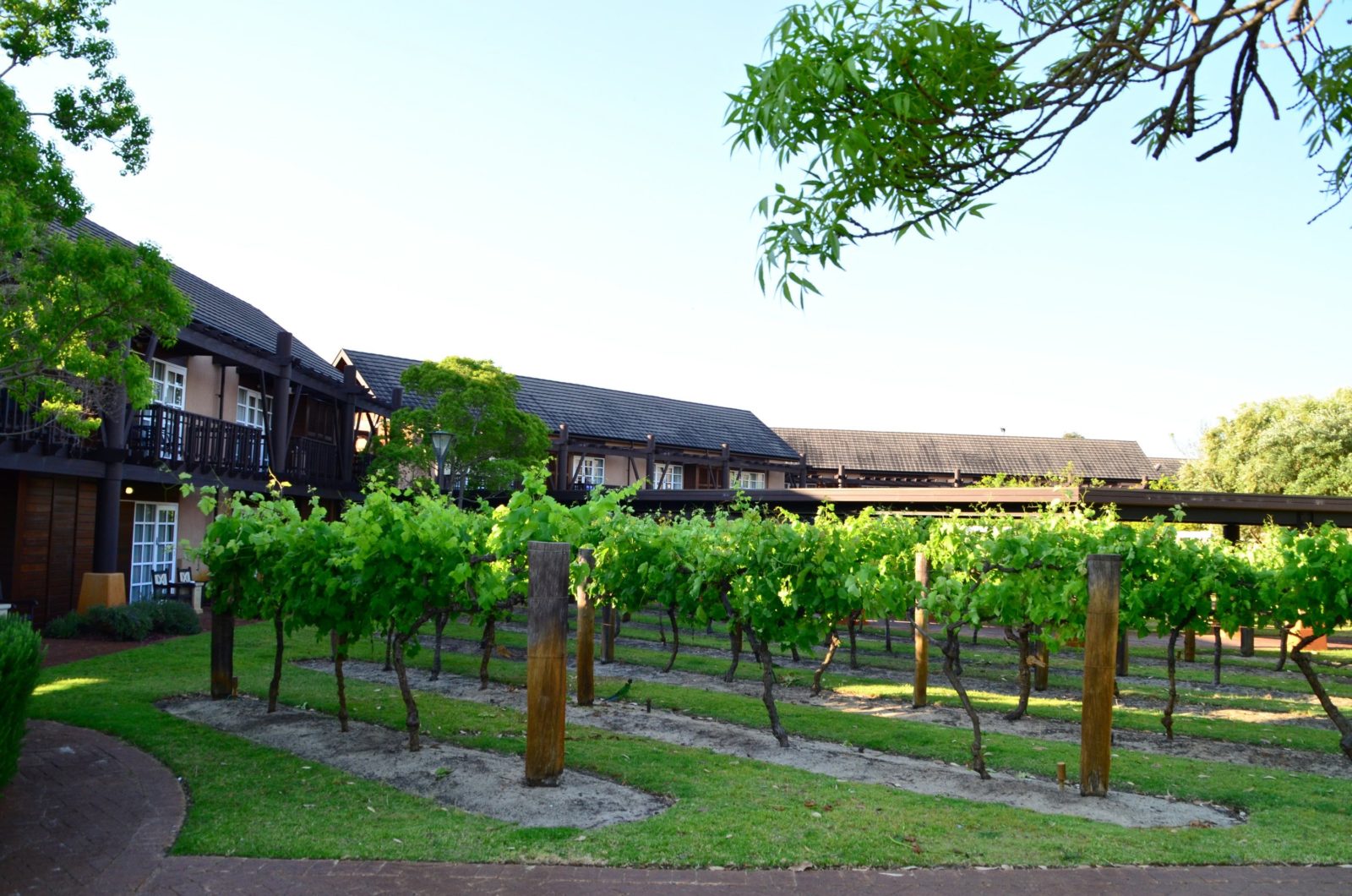 Novotel Vines Resort, Swan Valley, Western Australia