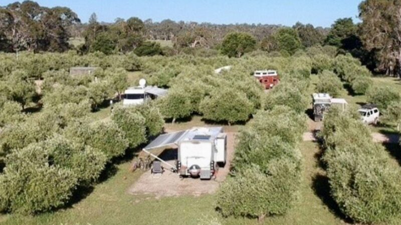 Large, private, well spaced bays hidden amongst the olive trees