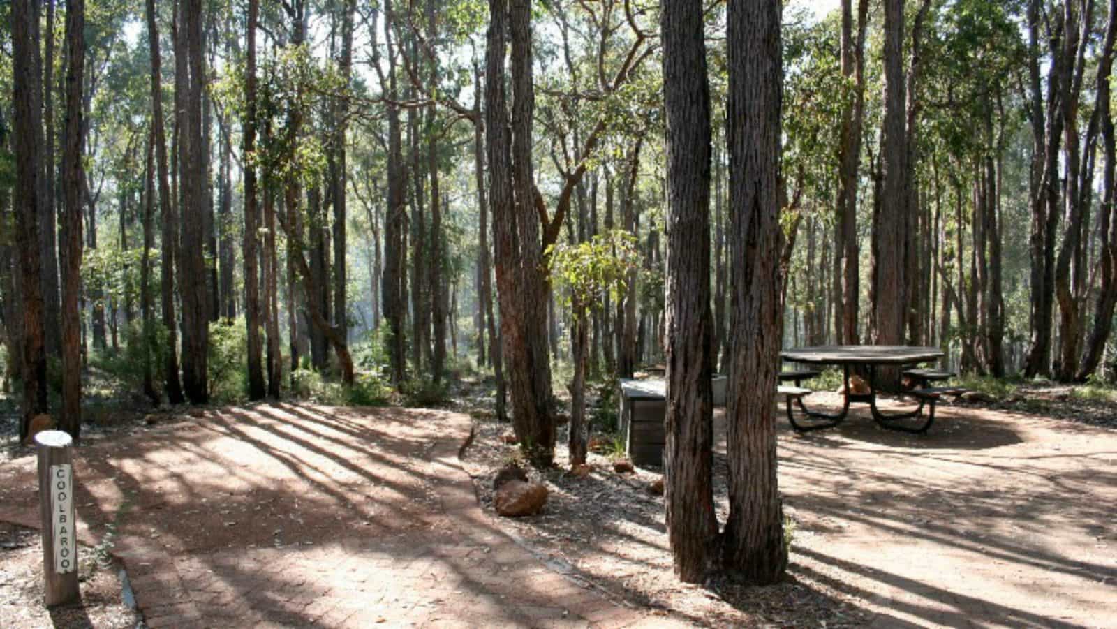 Perth Hills Centre Campground at Beelu National Park, Perth, Western Australia