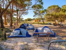 Campground with tents