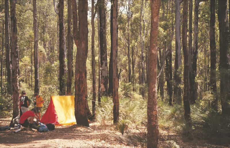 Stringers Camp at Lane Poole Reserve, Western Australia